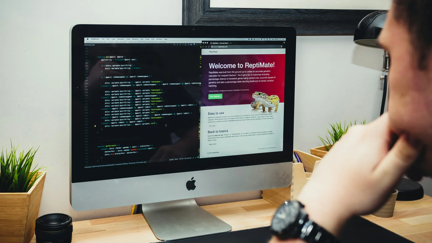 Web development coding and website build